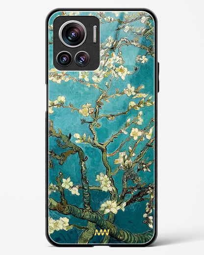Almond Tree Bloom Glass Phone Case-Motorola Edge 30 Ultra
