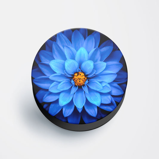 Vibrant Blue Dahlia Flat Pop Holder