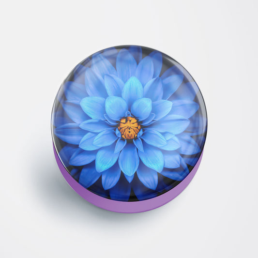 Vibrant Blue Dahlia Gloss Pop Holder