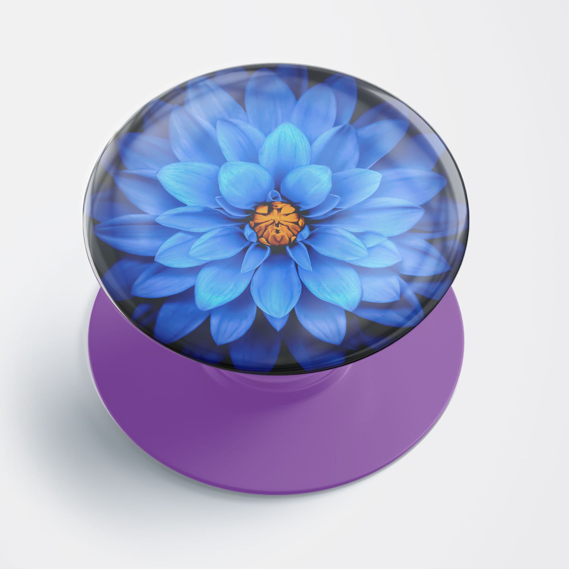 Vibrant Blue Dahlia Gloss Pop Holder