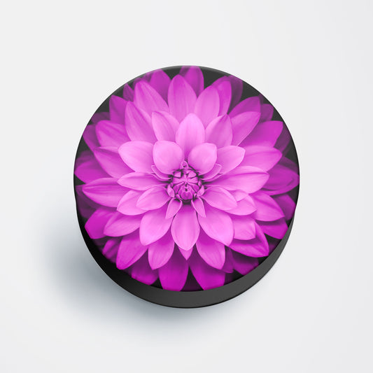 Vibrant Pink Dahlia Flat Pop Holder